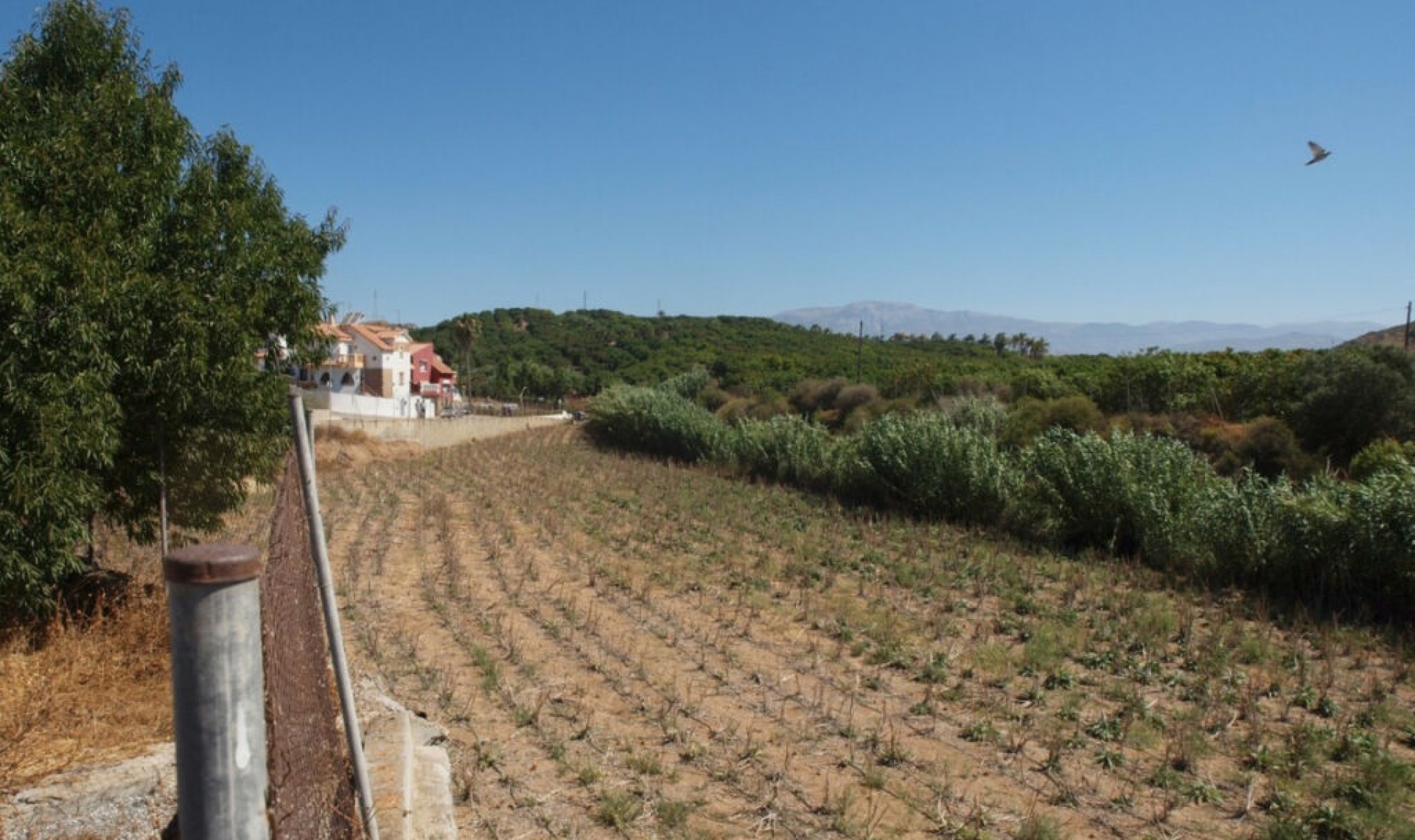 Resale - House -
Almayate
