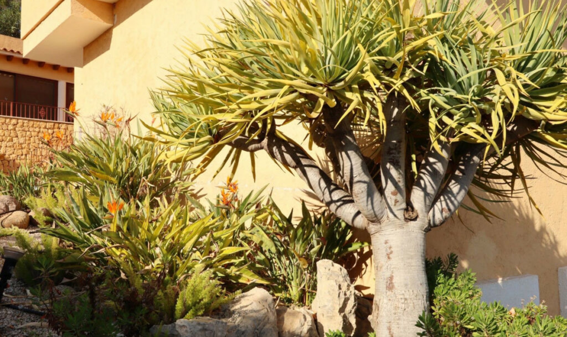 Resale - House -
Altea