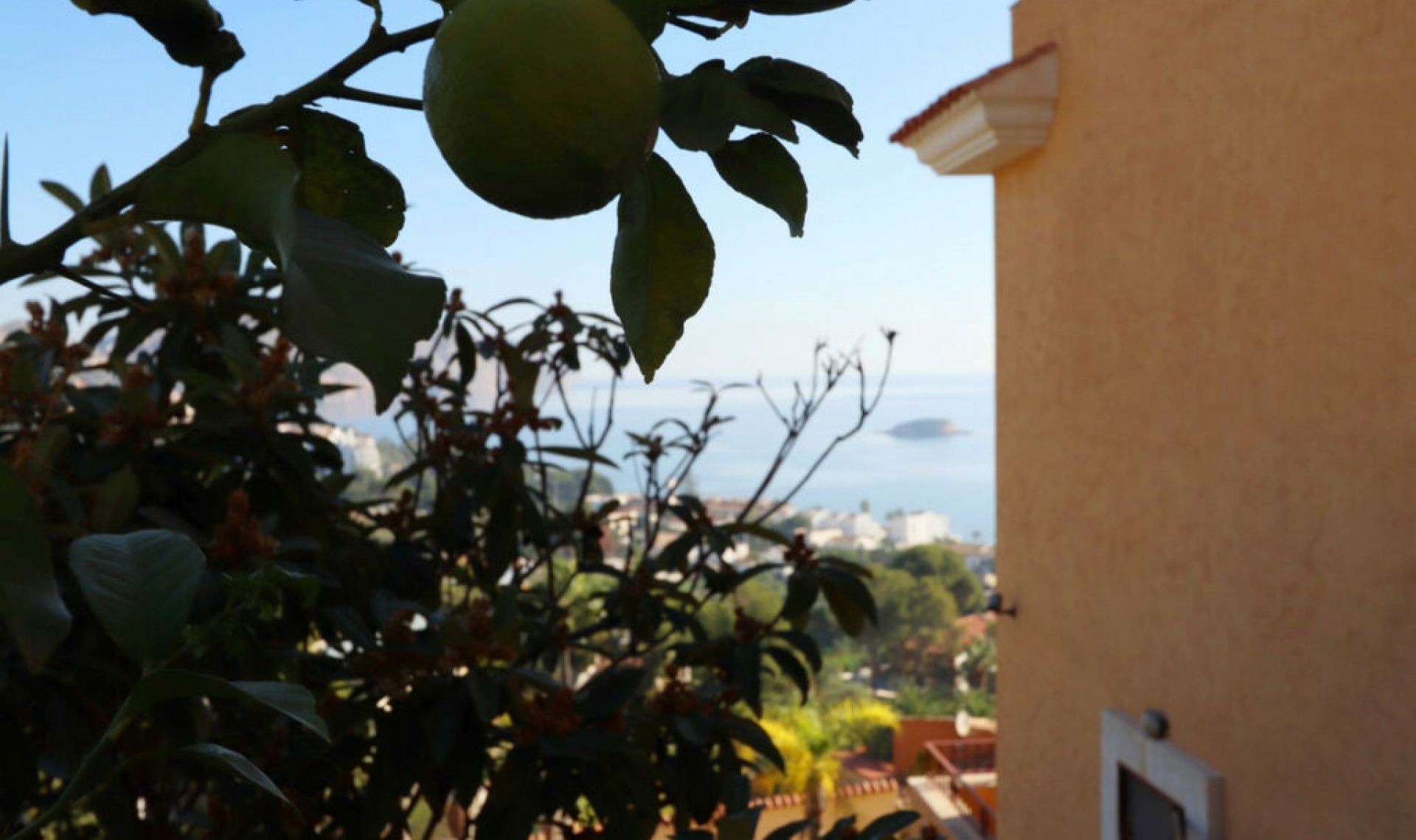 Resale - House -
Altea