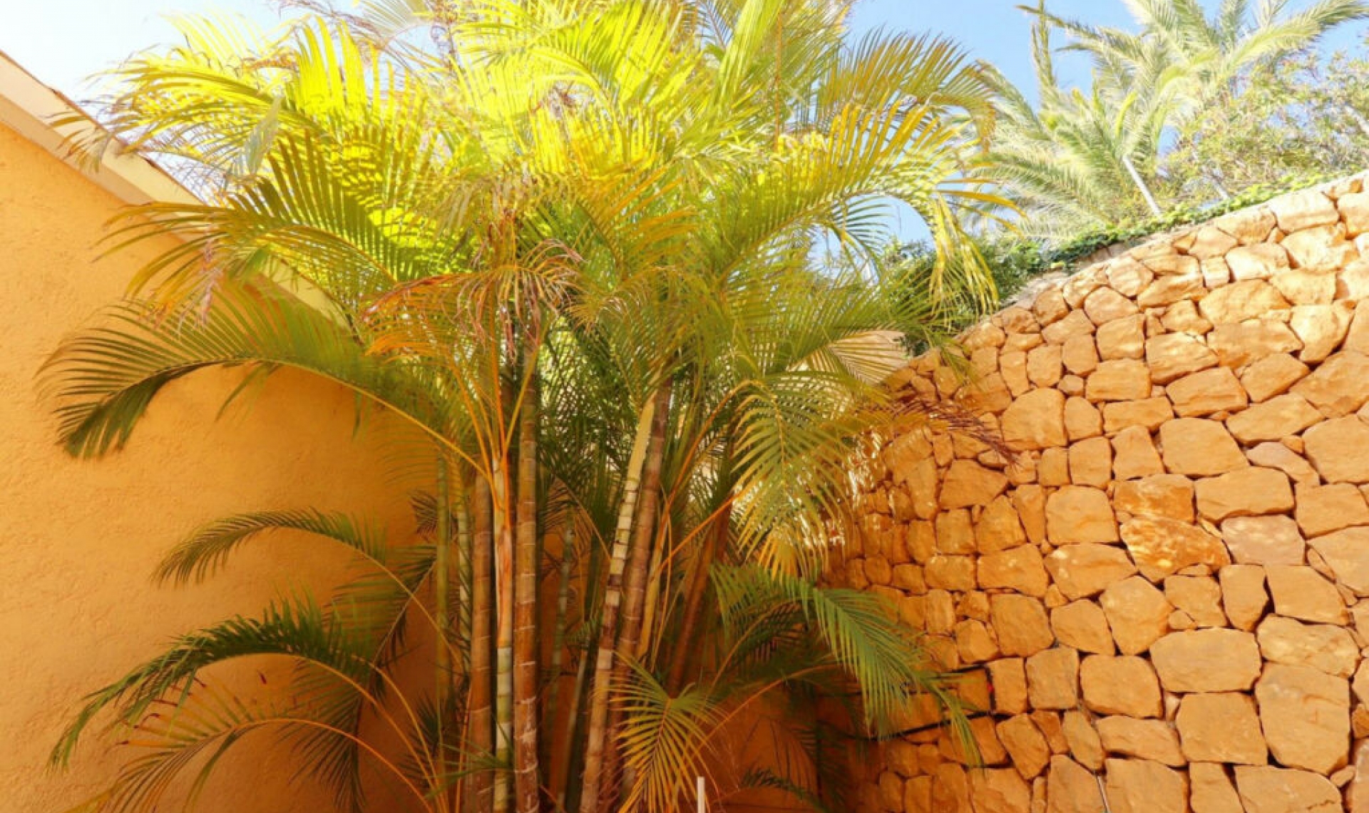 Resale - House -
Altea