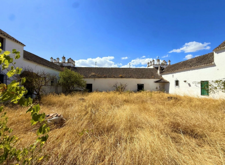 Resale - House -
Arcos de la Frontera