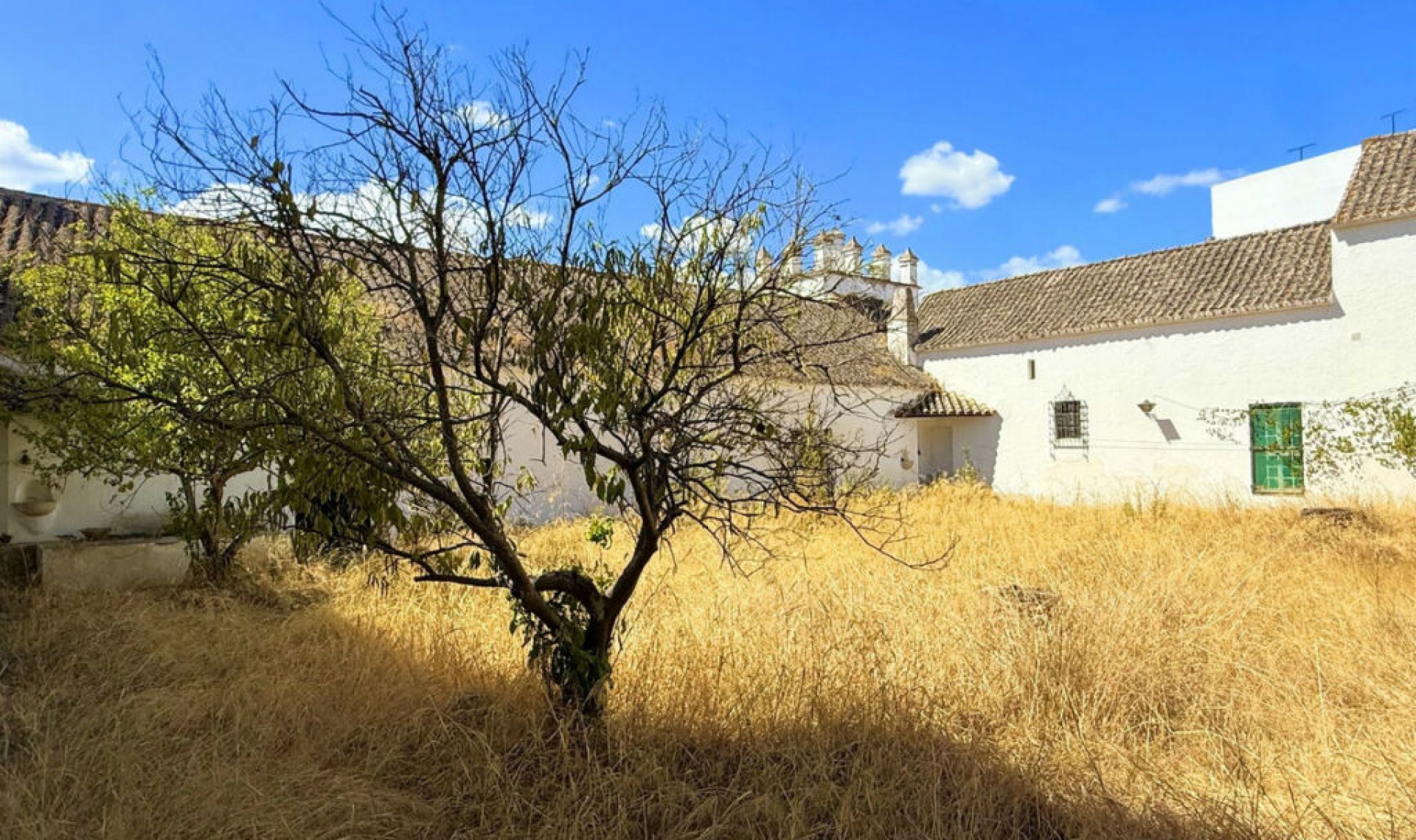 Resale - House -
Arcos de la Frontera