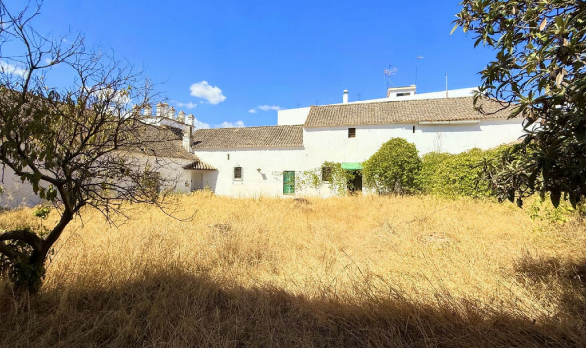 Resale - House -
Arcos de la Frontera