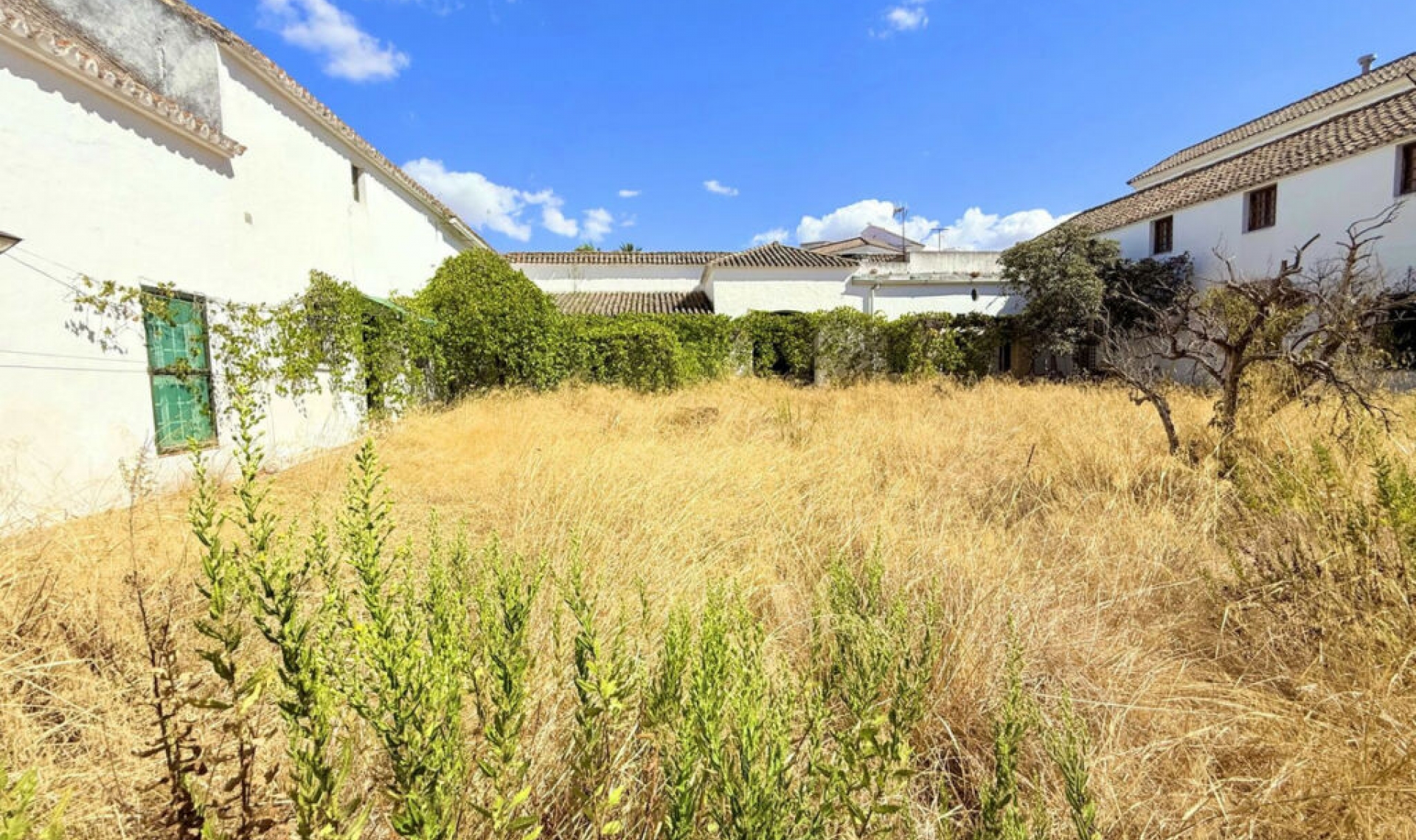 Resale - House -
Arcos de la Frontera