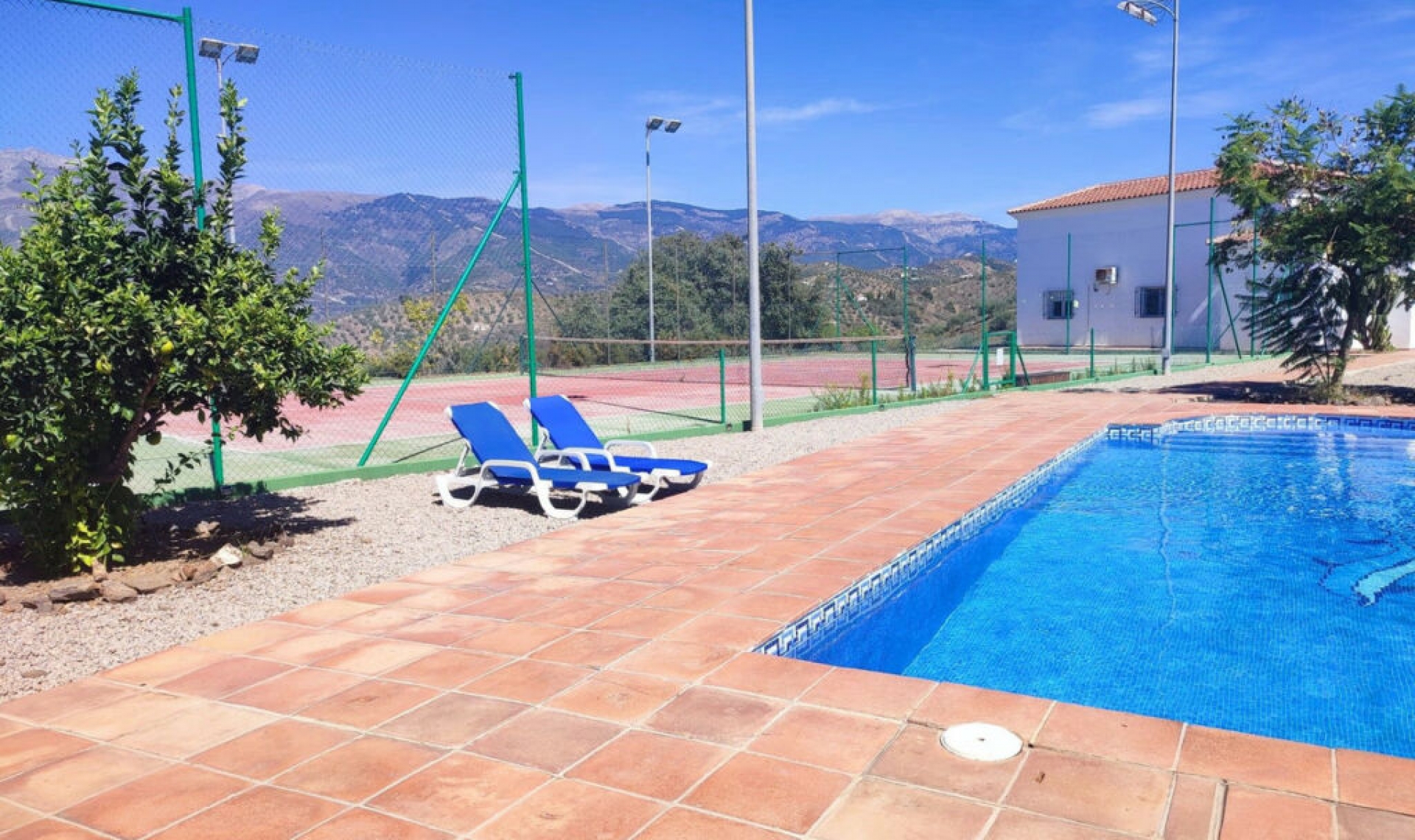 Resale - House -
Arenas