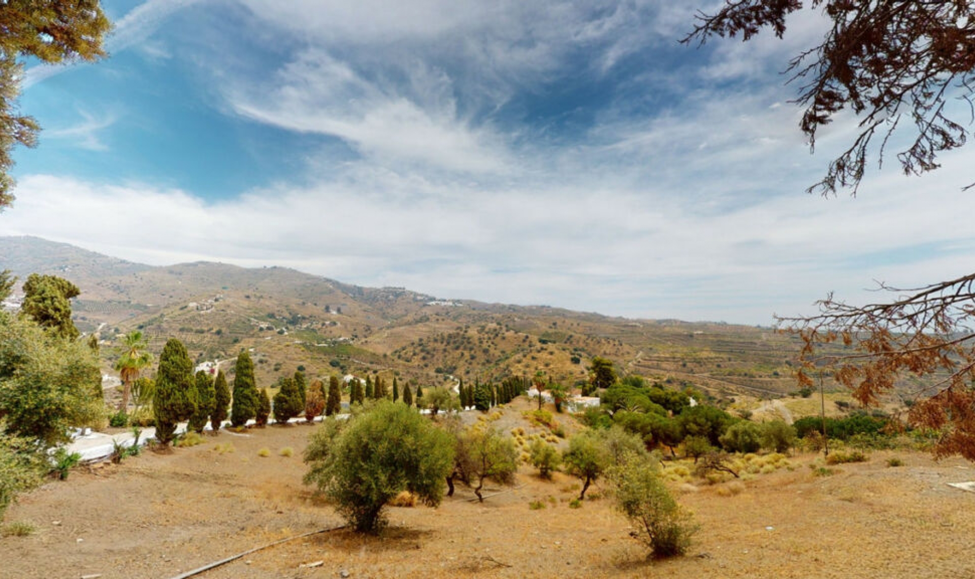 Resale - House -
Arenas