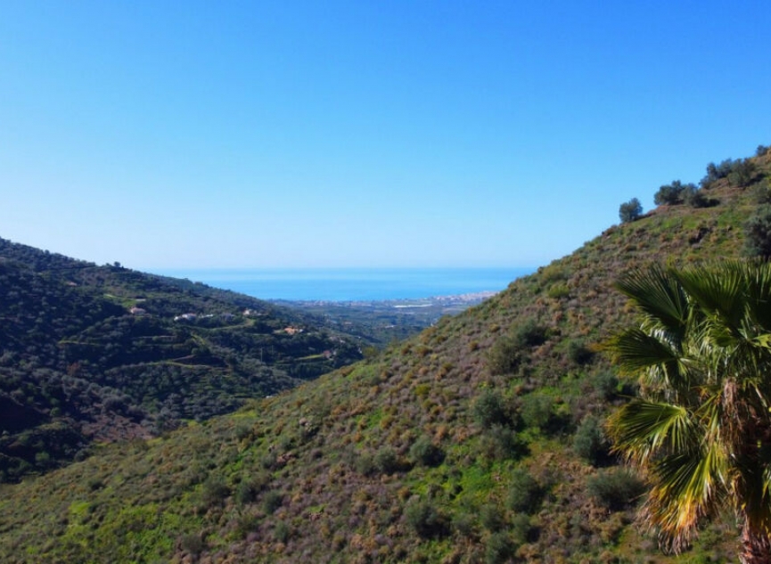 Resale - House -
Arenas