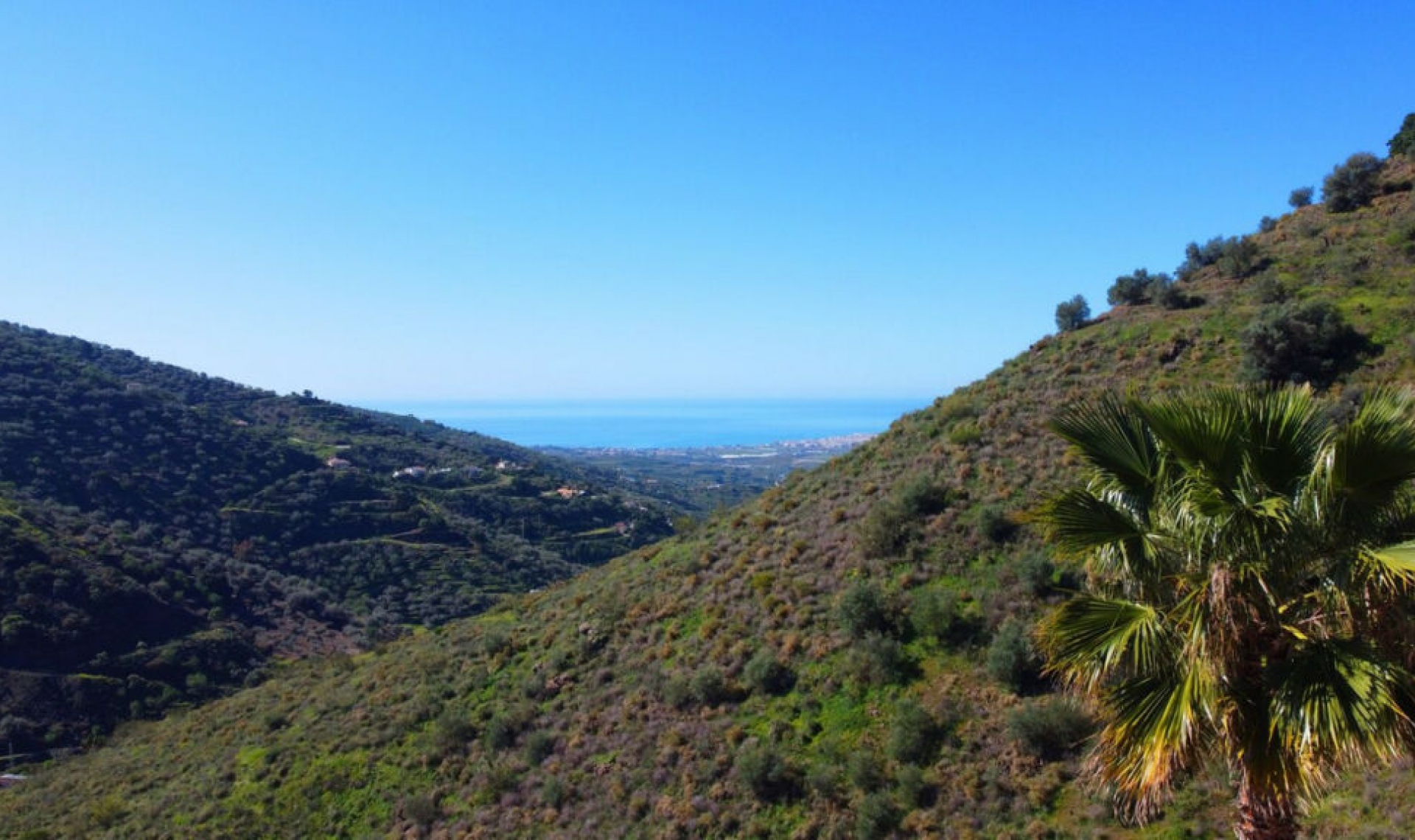 Resale - House -
Arenas