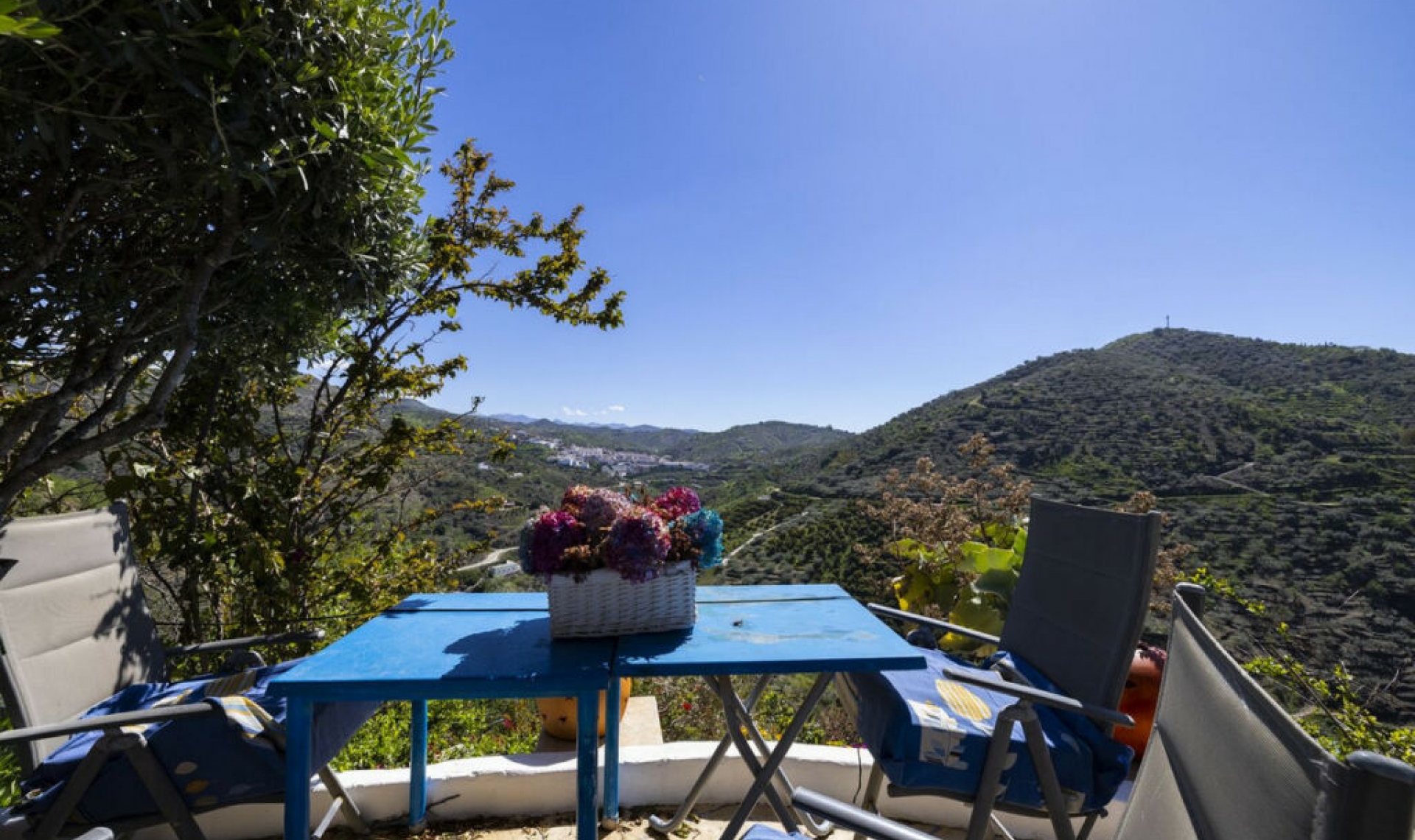 Resale - House -
Arenas