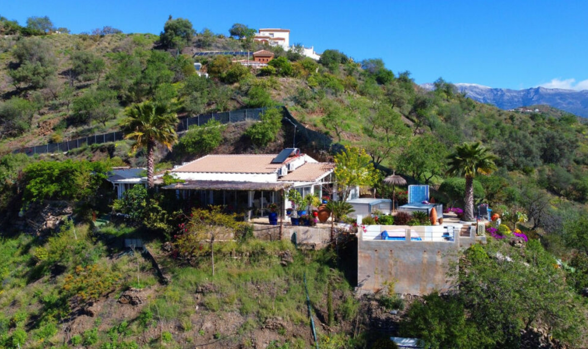 Resale - House -
Arenas