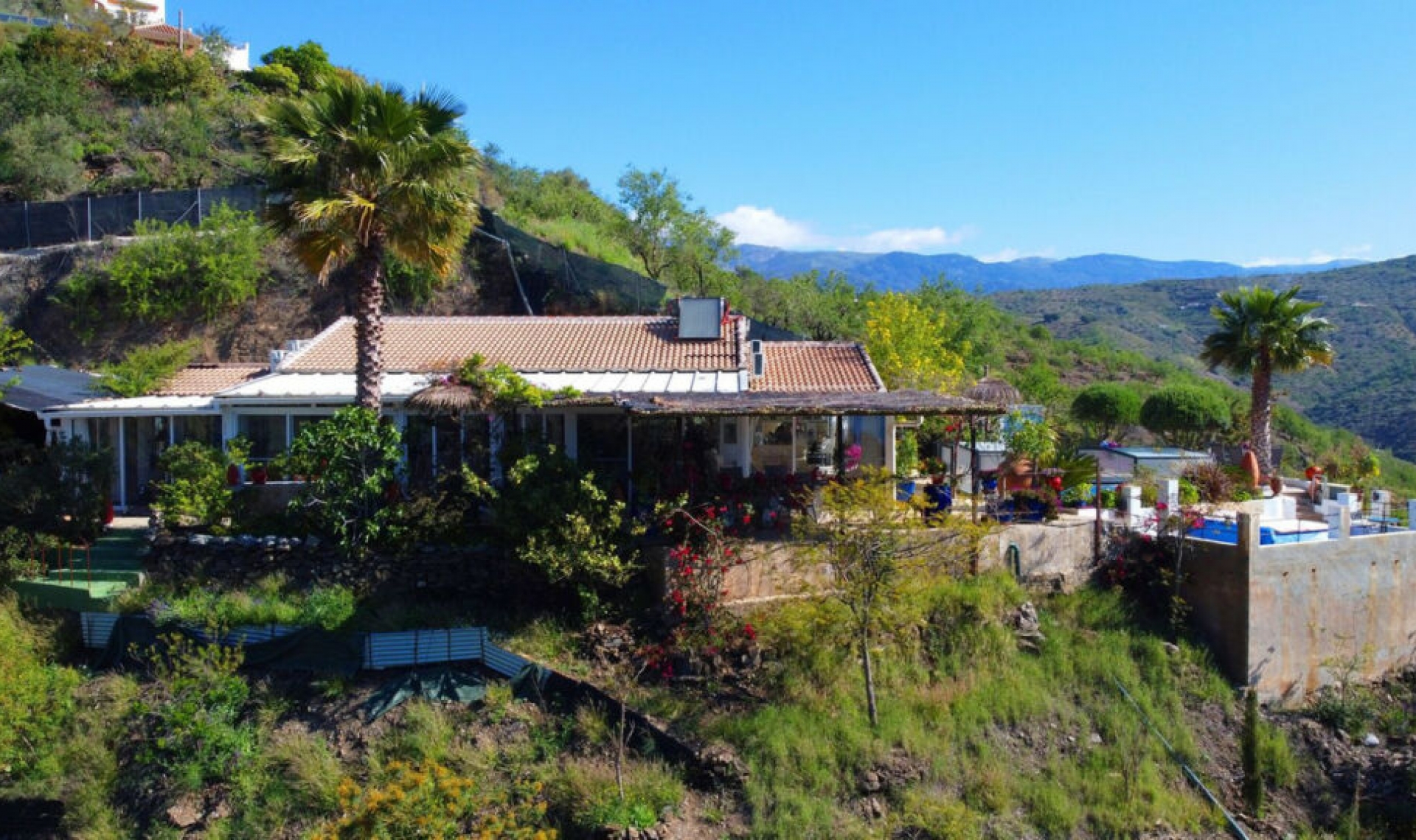 Resale - House -
Arenas