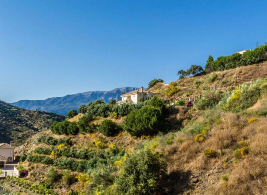 Resale - House -
Arenas