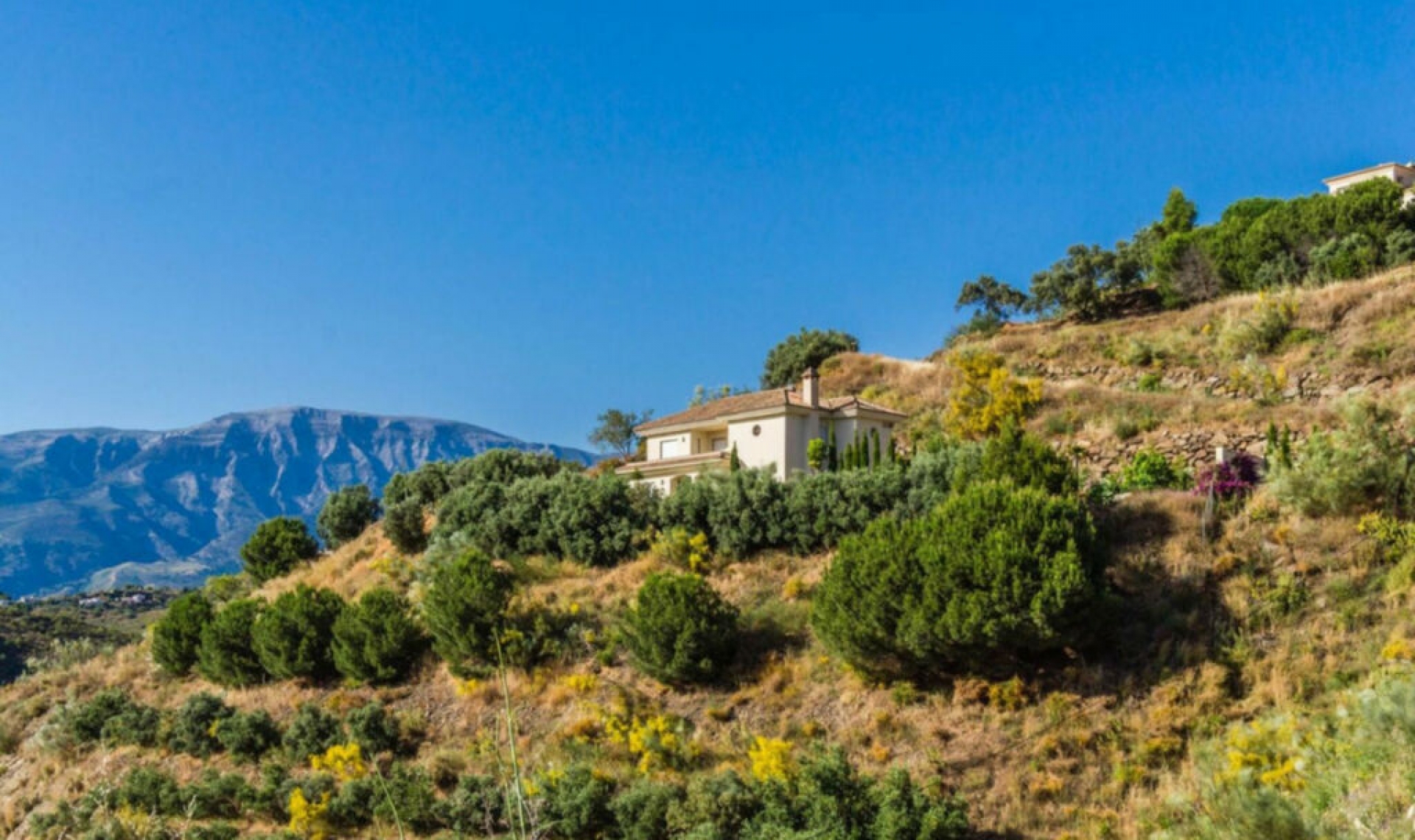 Resale - House -
Arenas