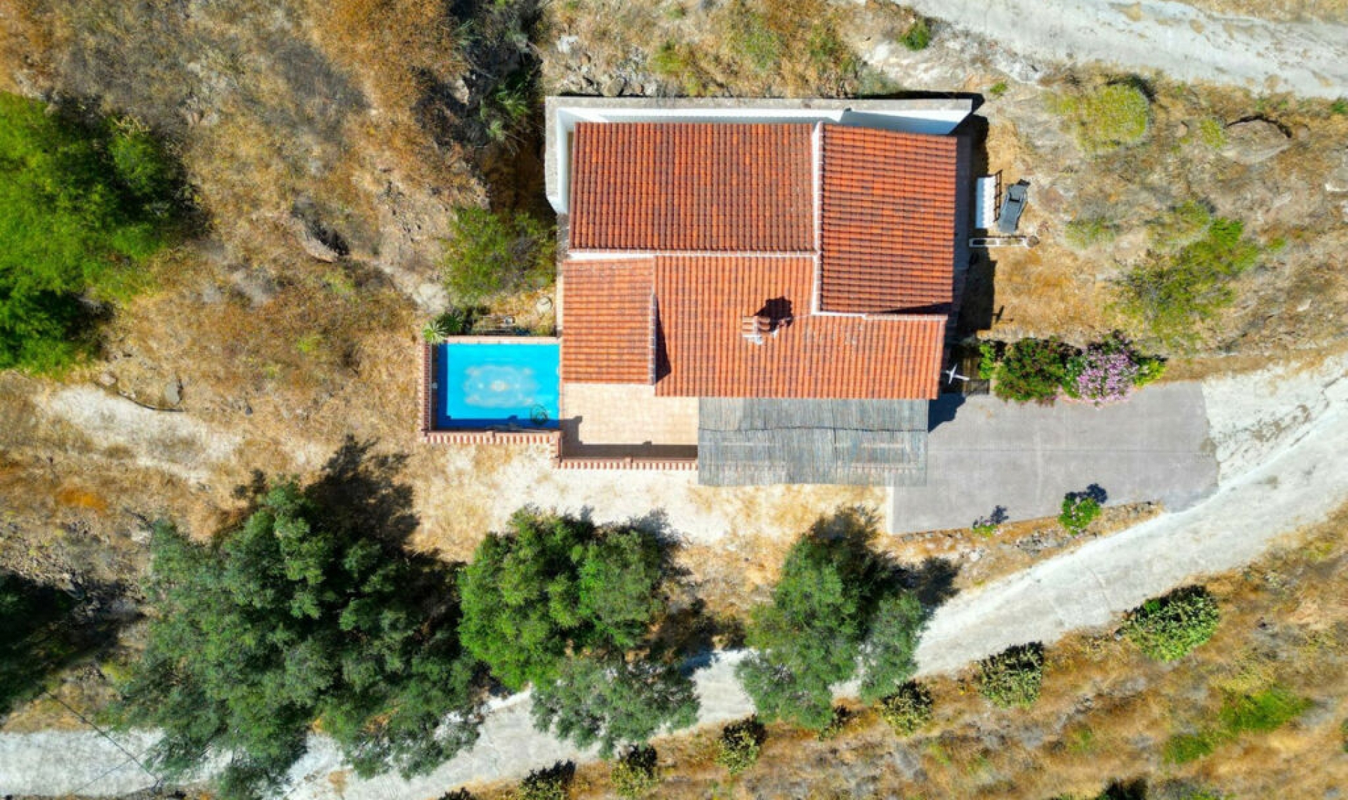 Resale - House -
Arenas