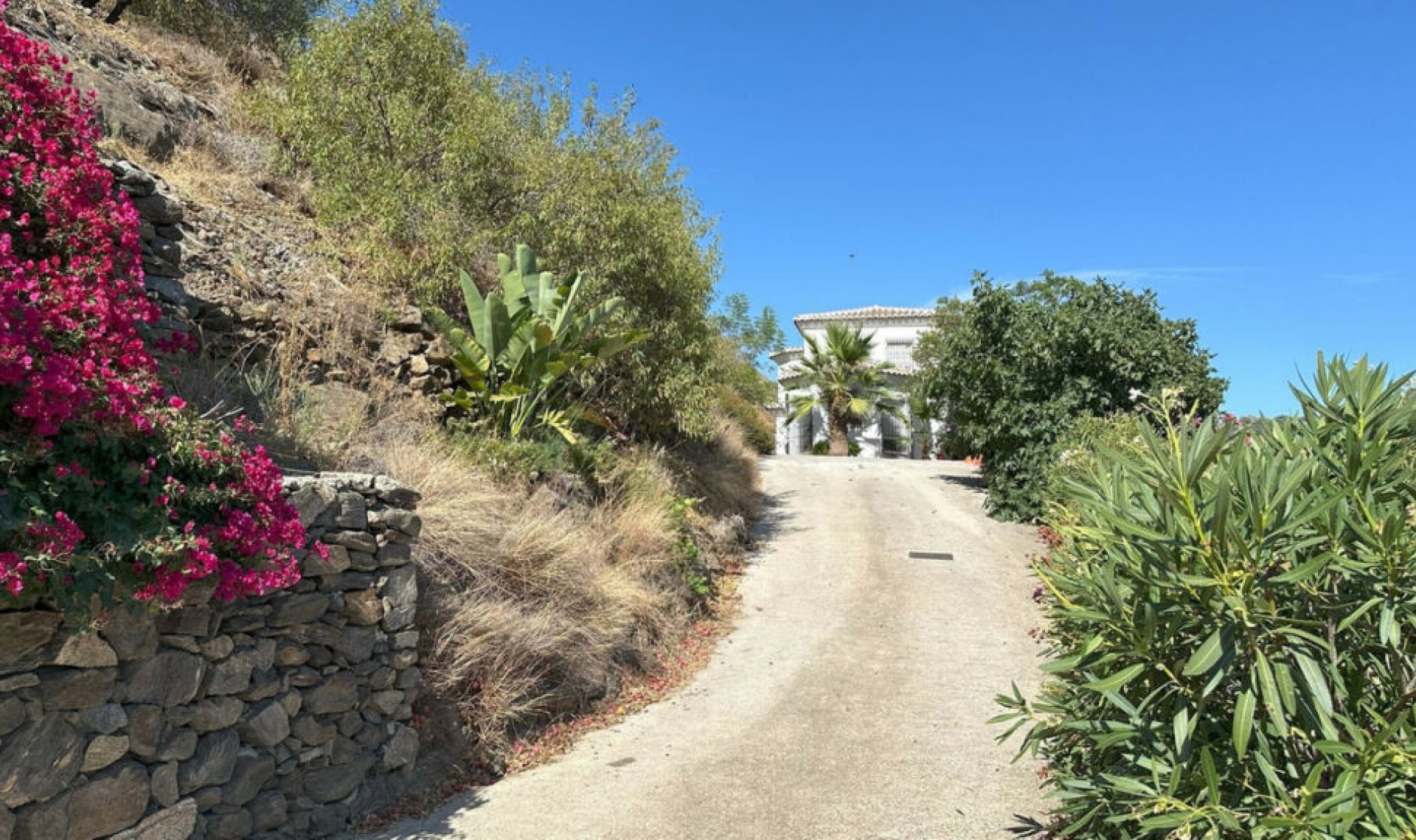 Resale - House -
Arenas