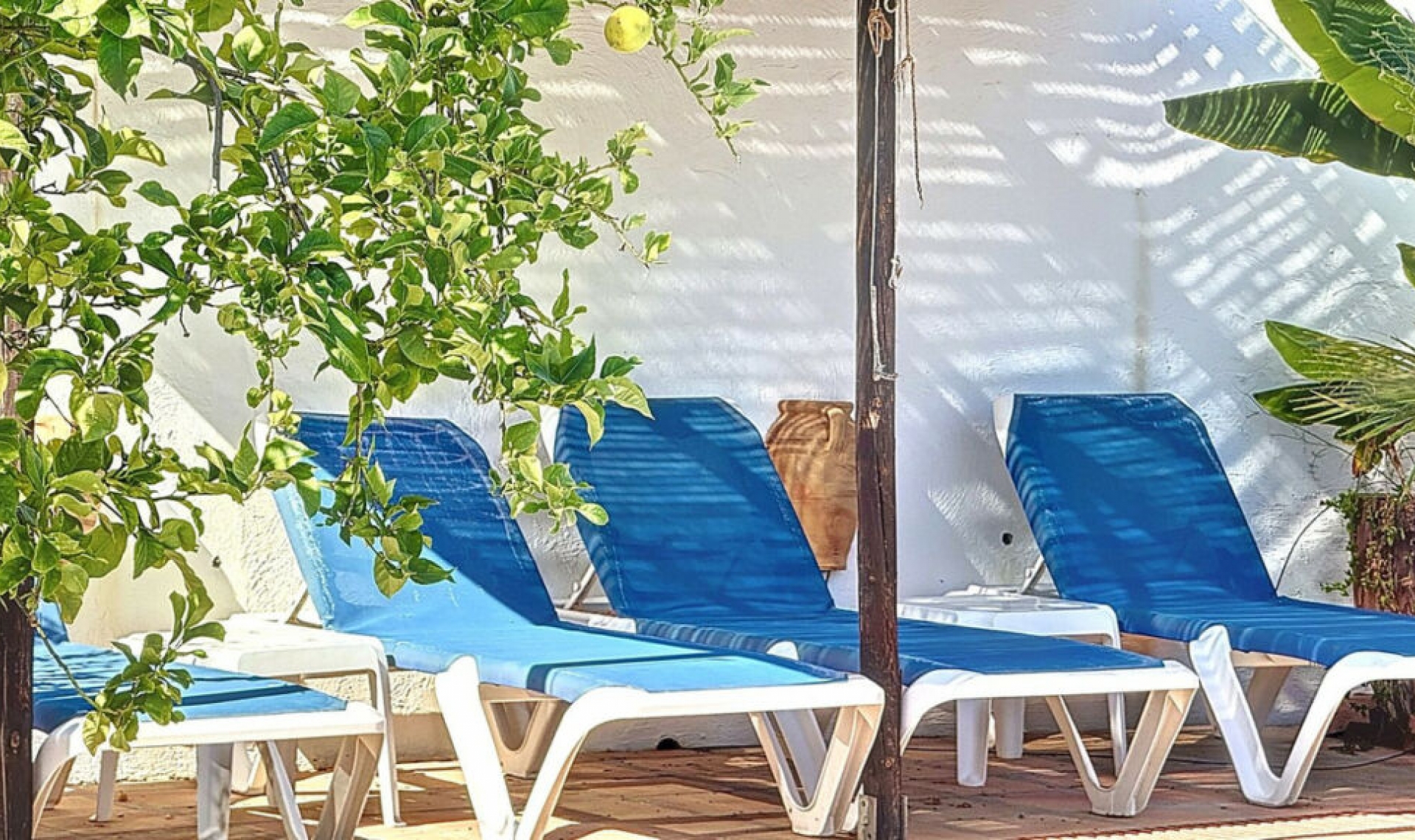 Resale - House -
Arenas