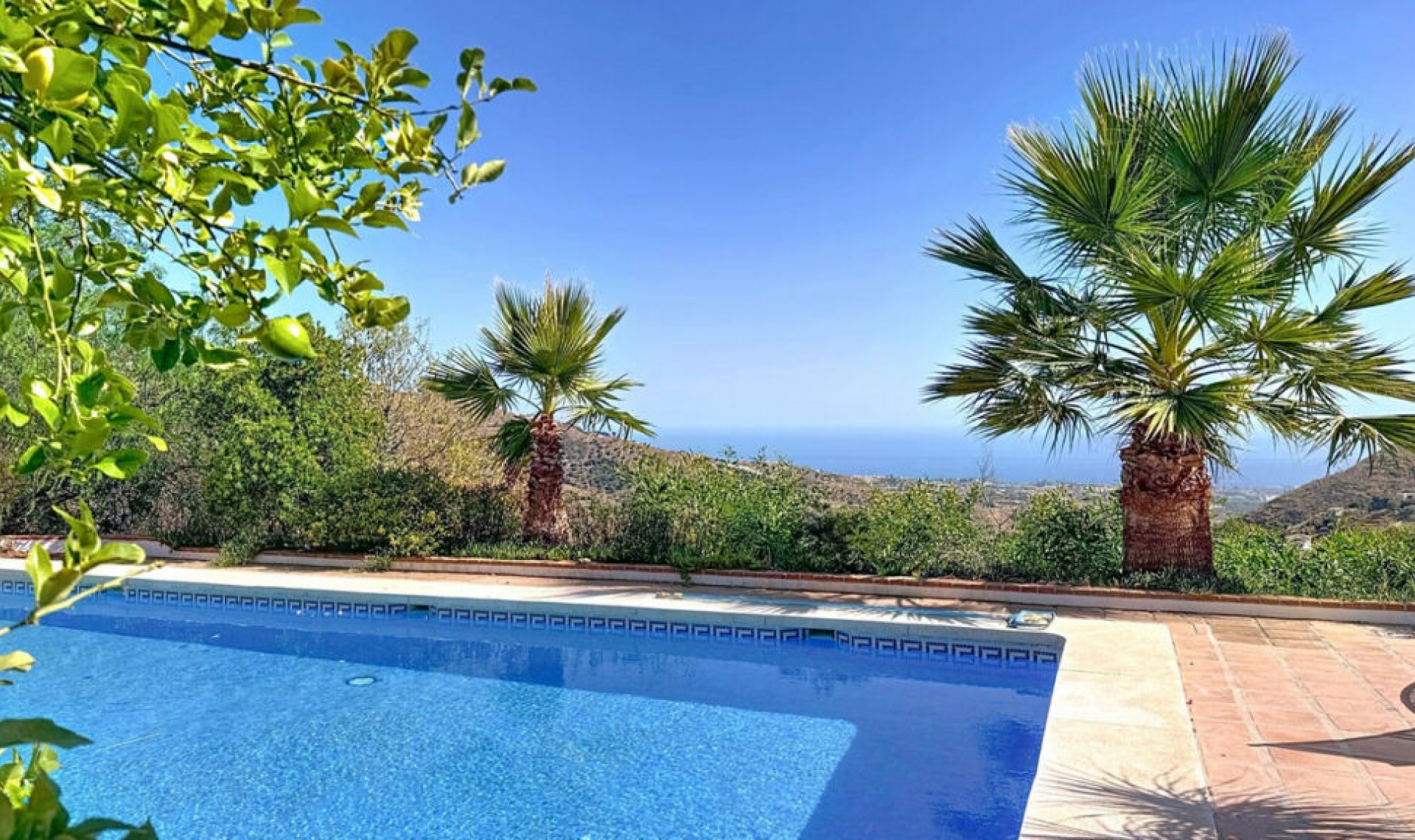 Resale - House -
Arenas