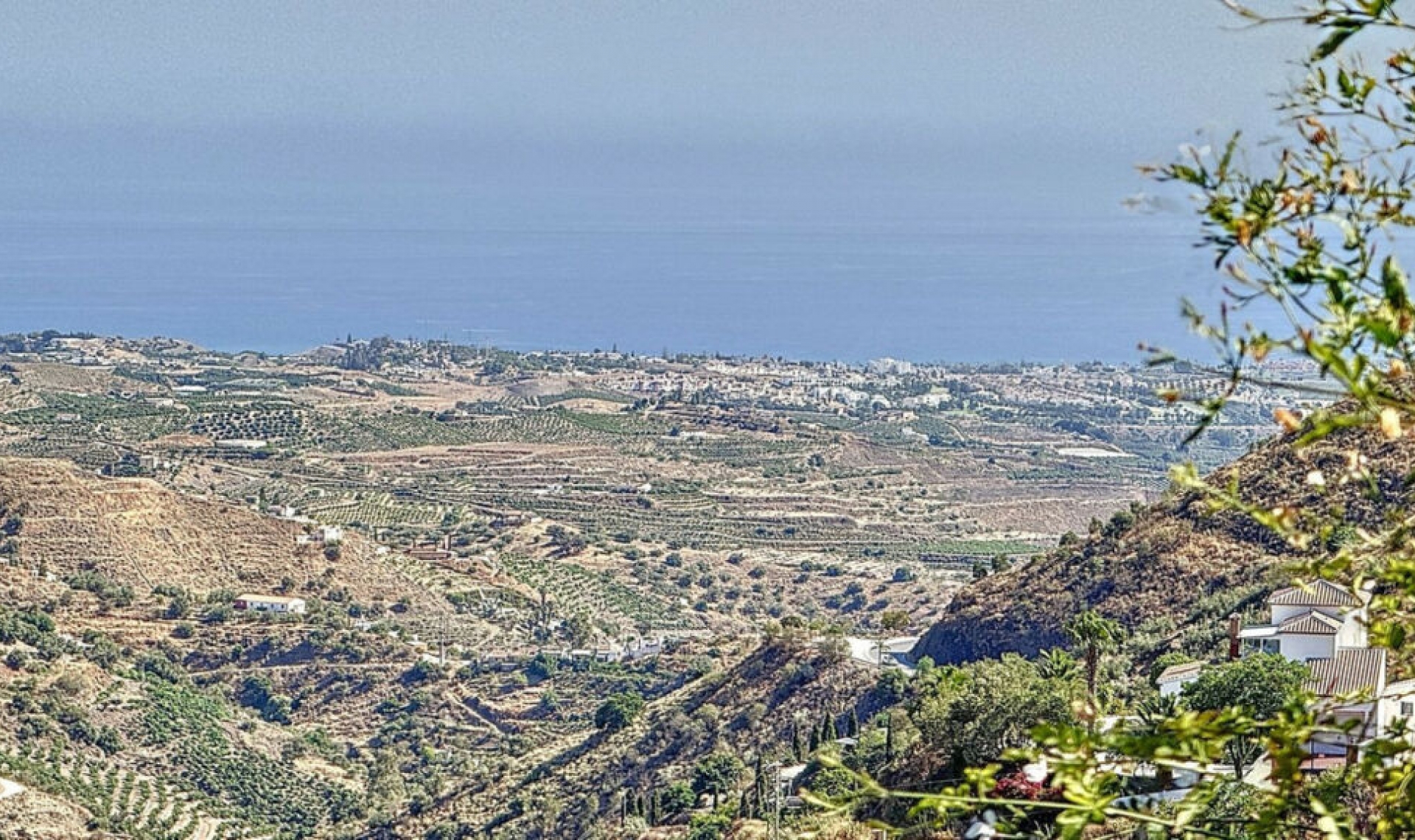 Resale - House -
Arenas