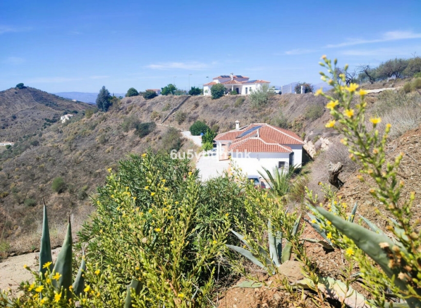 Resale - House -
Arenas