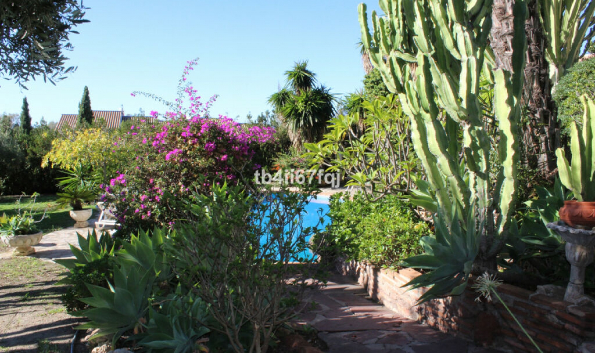 Resale - House -
Atalaya