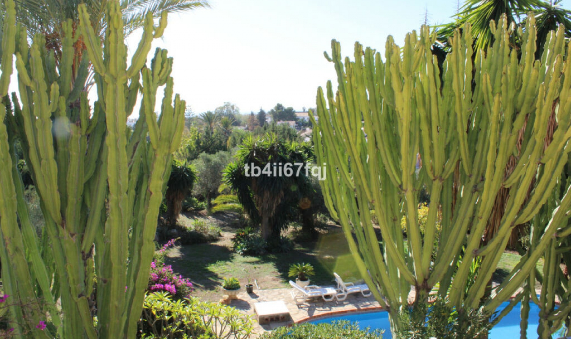 Resale - House -
Atalaya