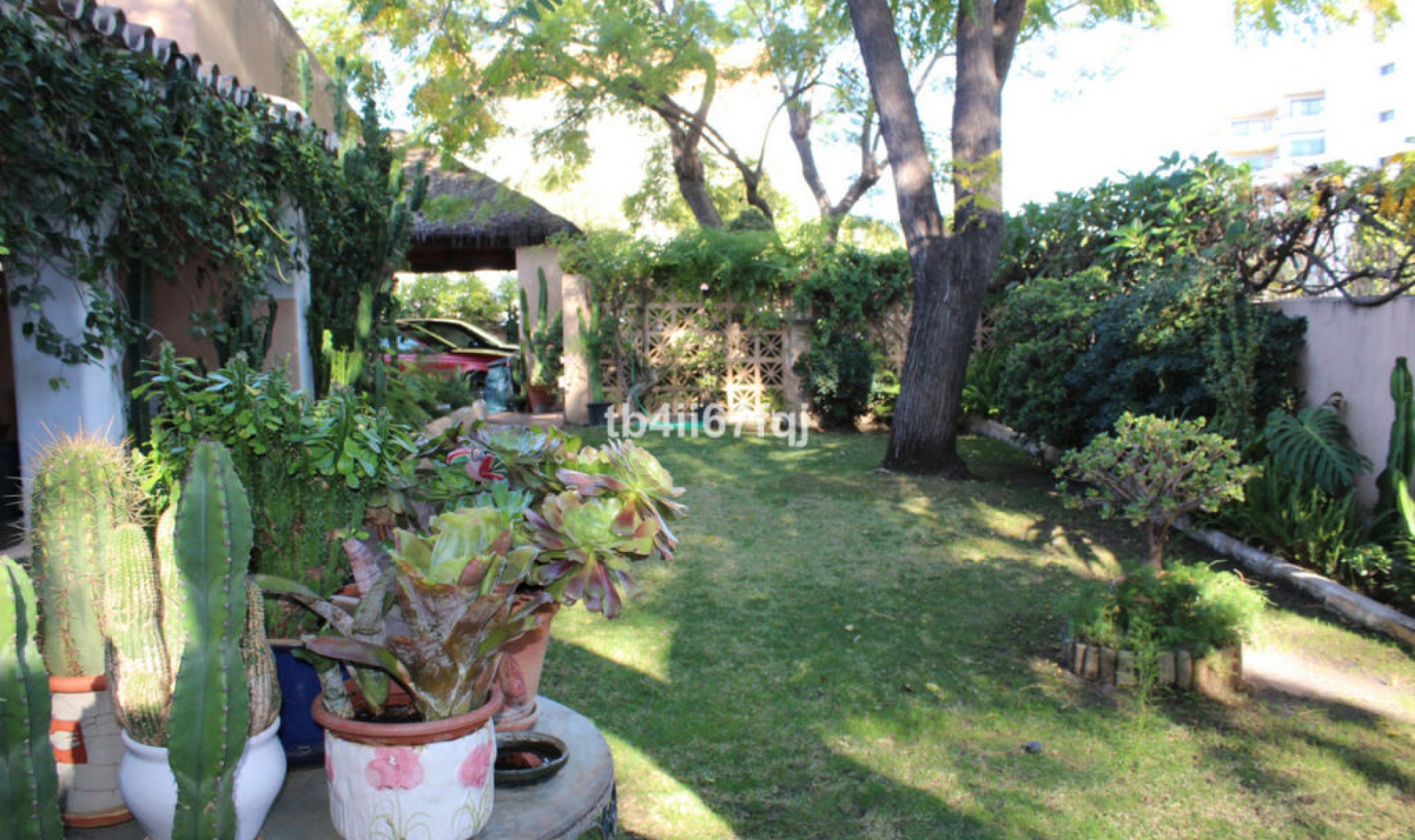 Resale - House -
Atalaya