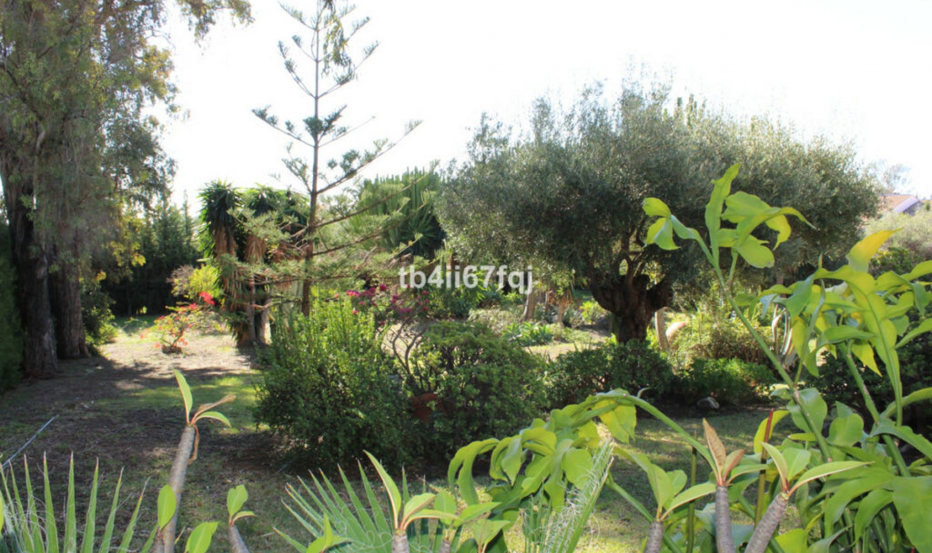 Resale - House -
Atalaya