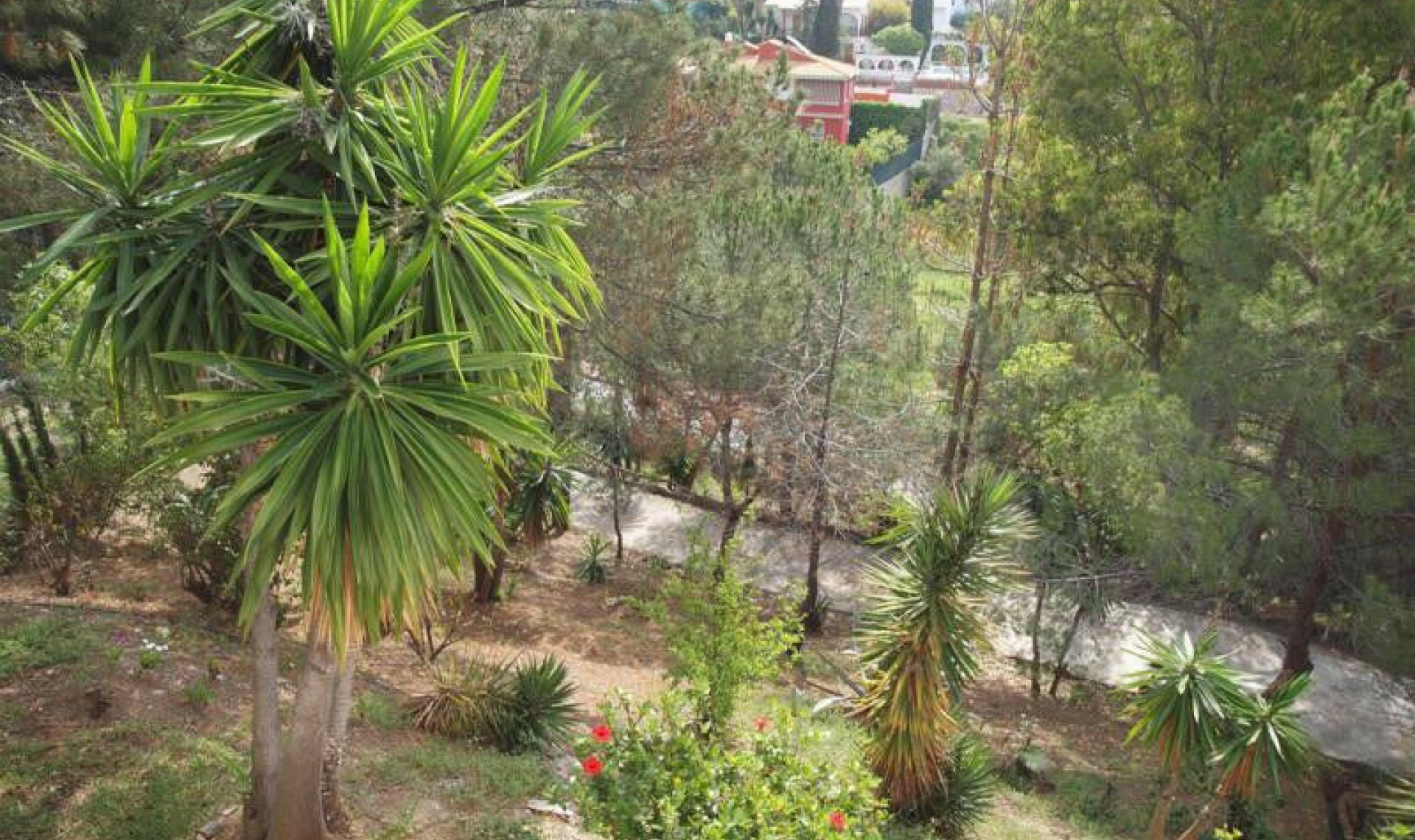 Resale - House -
Benagalbon