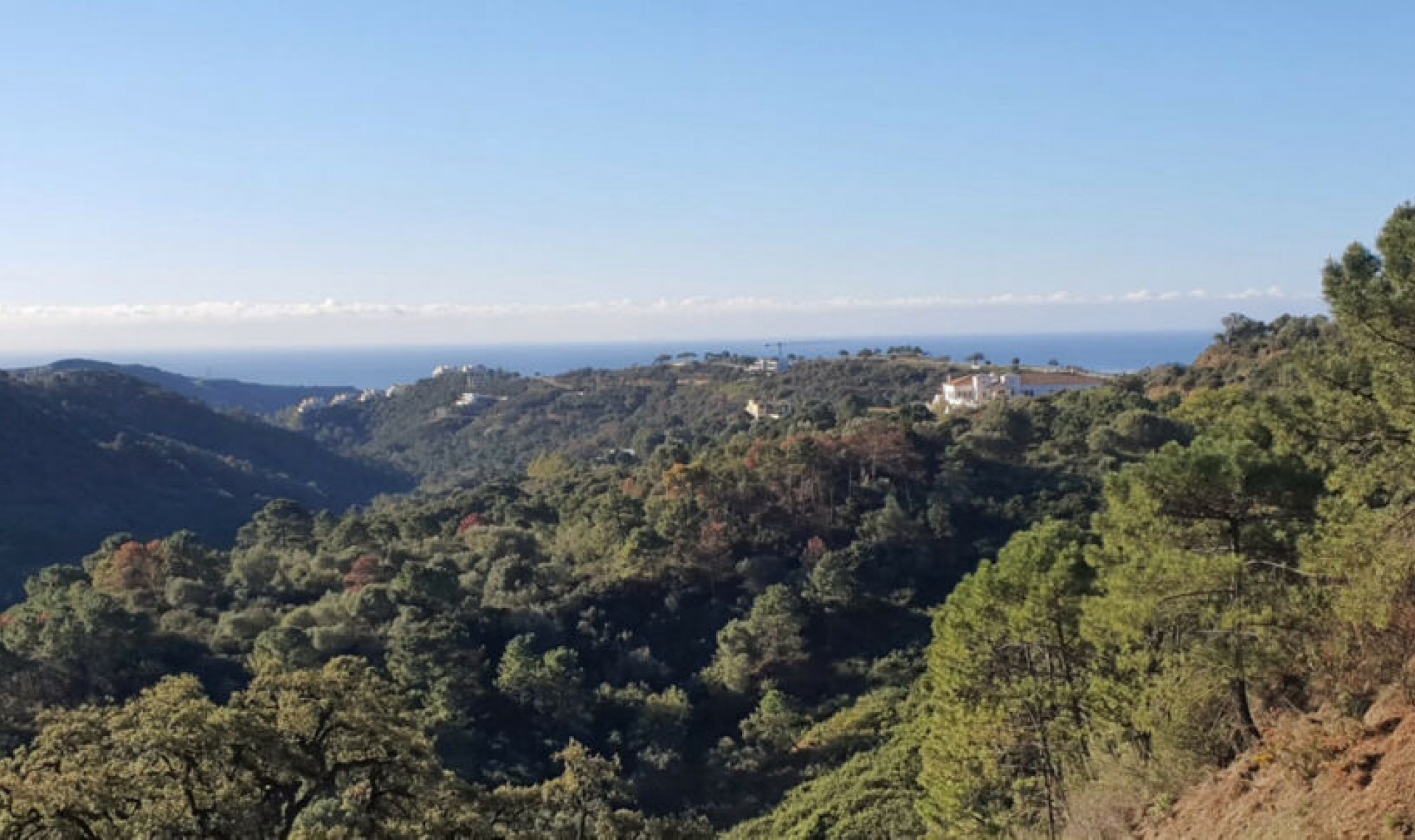 Resale - House -
Benahavís