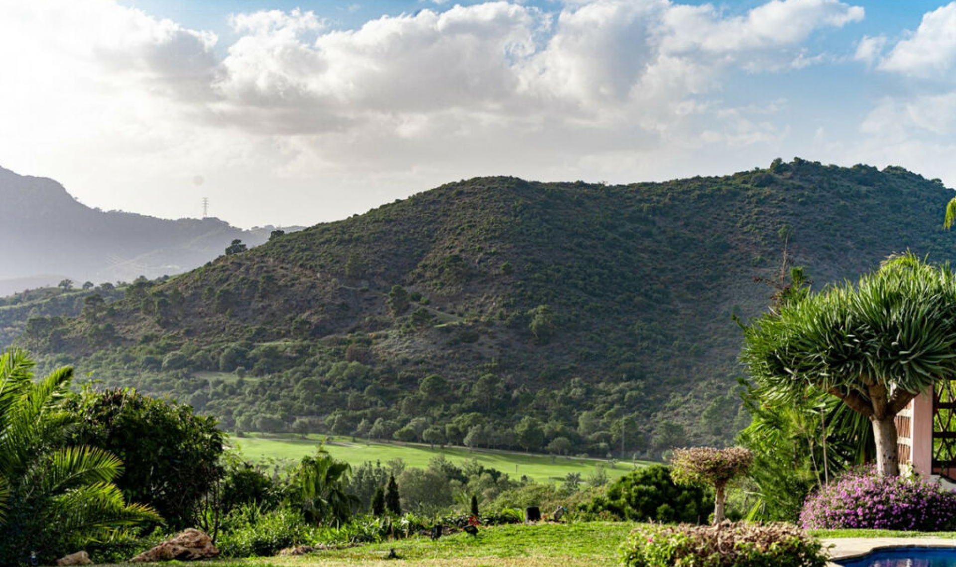 Resale - House -
Benahavís