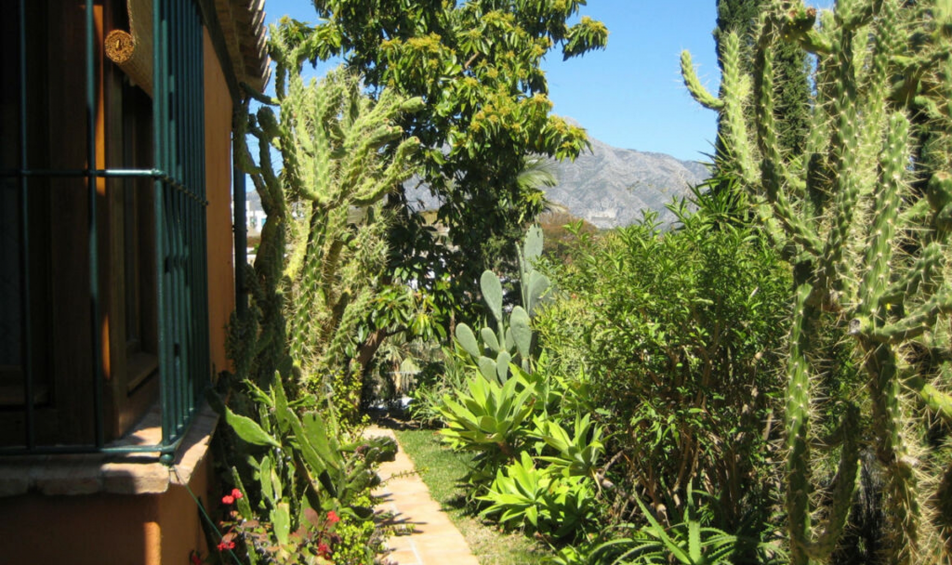 Resale - House -
Benahavís
