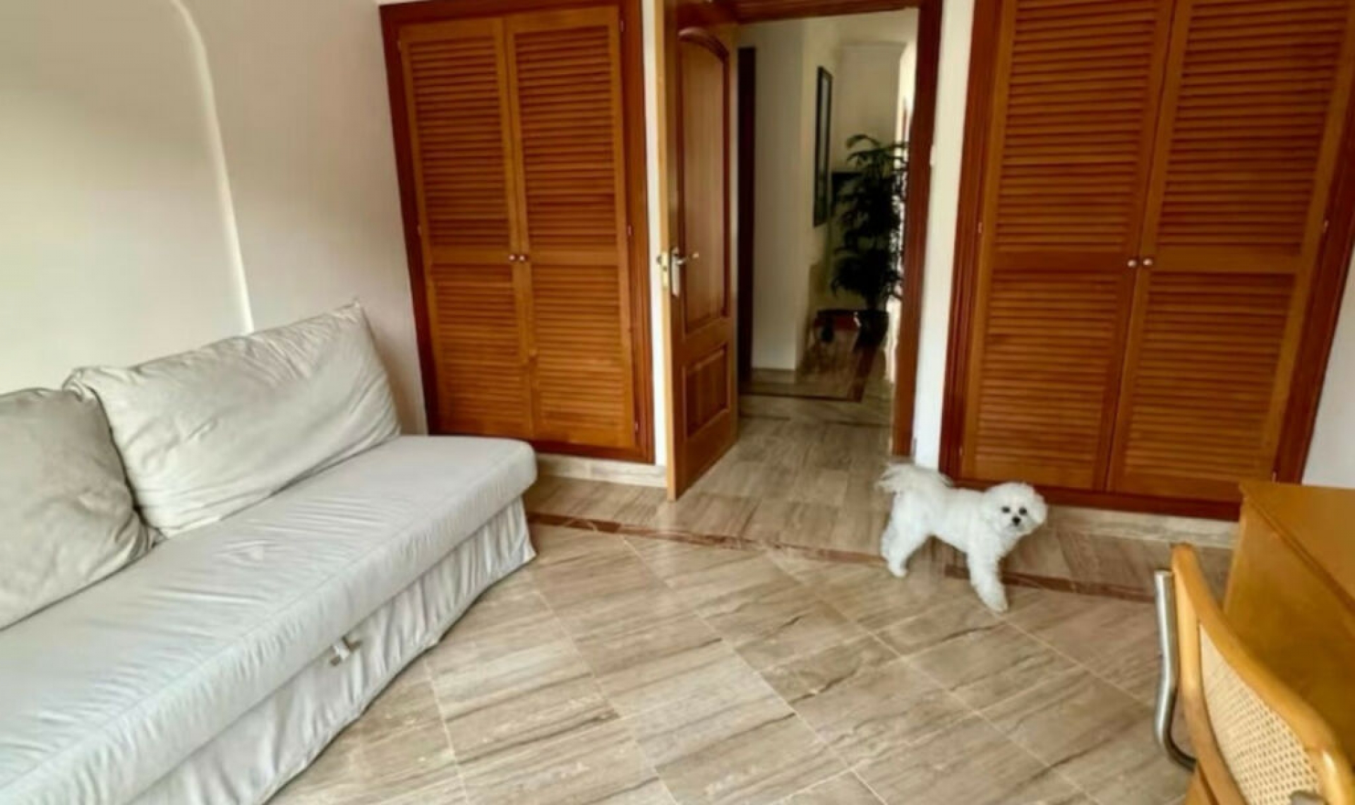 Resale - House -
Benahavís