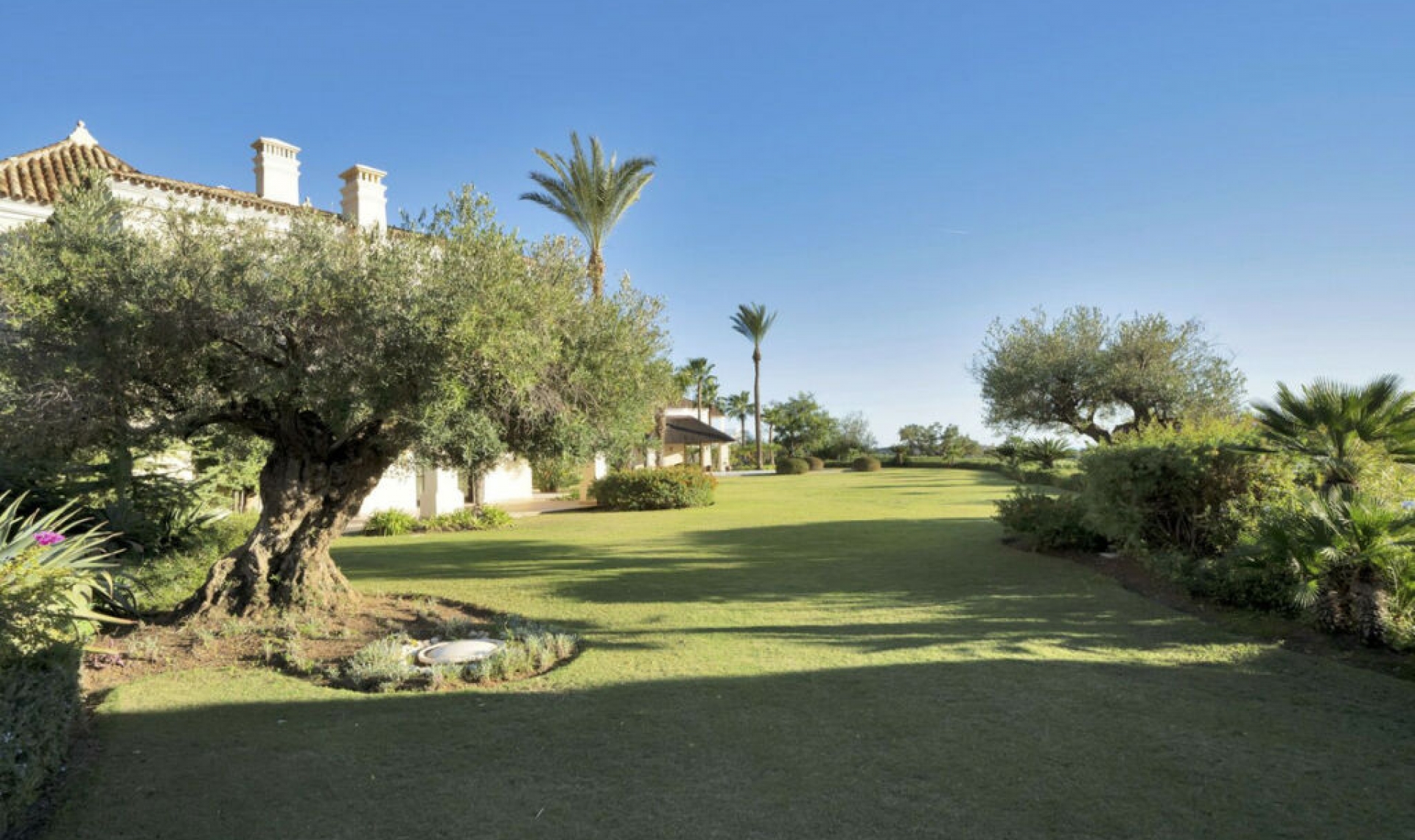 Resale - House -
Benahavís