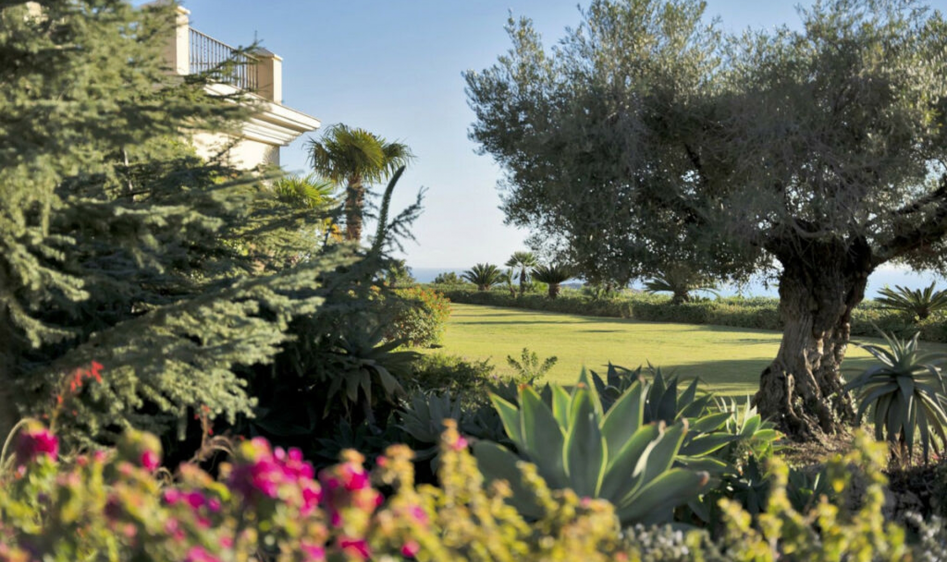 Resale - House -
Benahavís