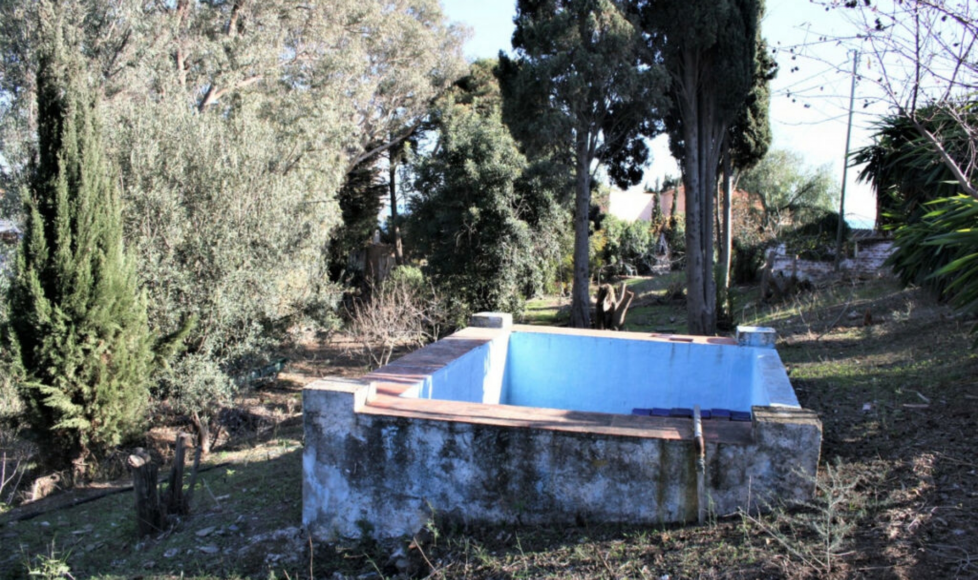 Resale - House -
Benajarafe
