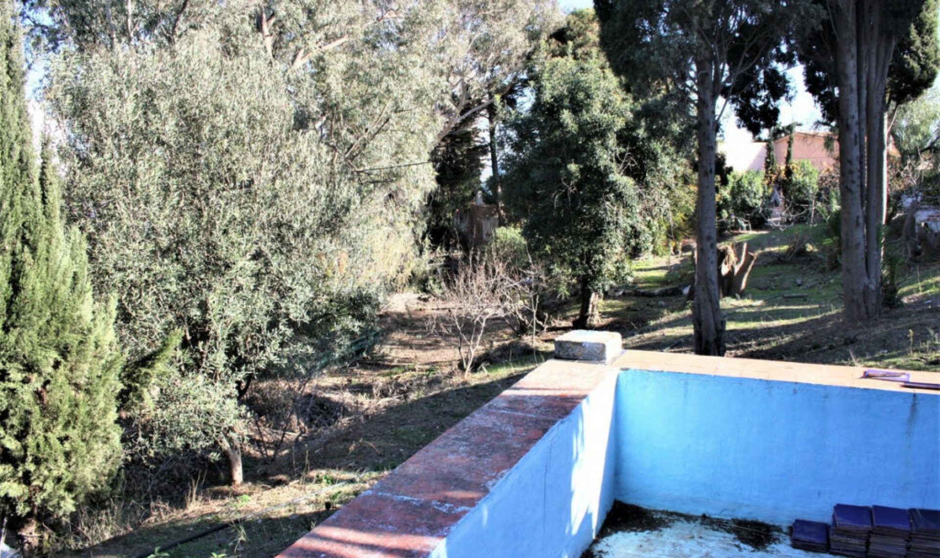 Resale - House -
Benajarafe
