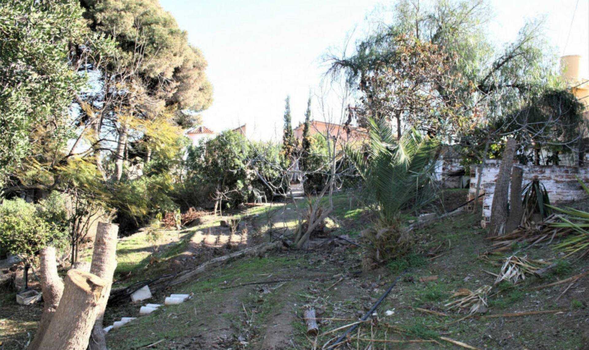 Resale - House -
Benajarafe
