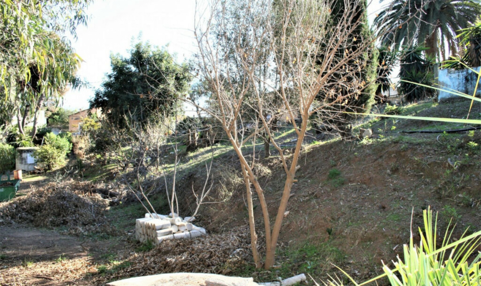 Resale - House -
Benajarafe