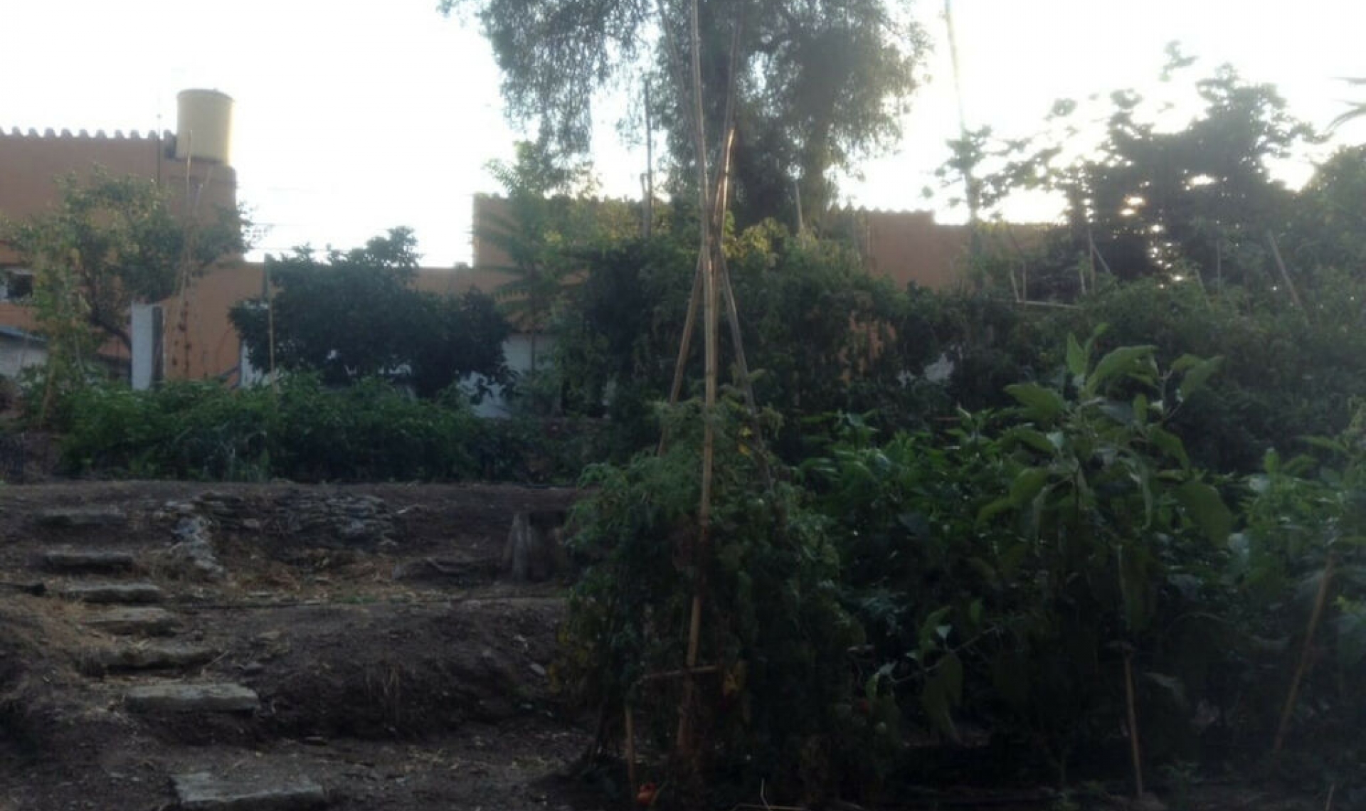 Resale - House -
Benajarafe