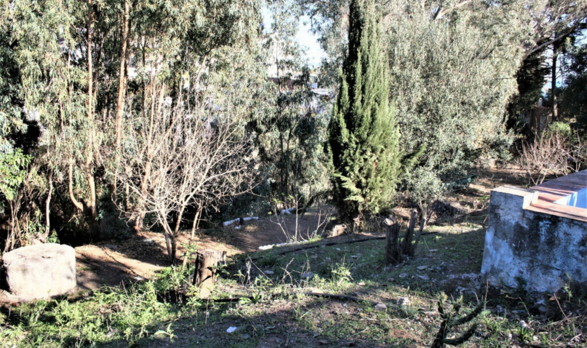 Resale - House -
Benajarafe