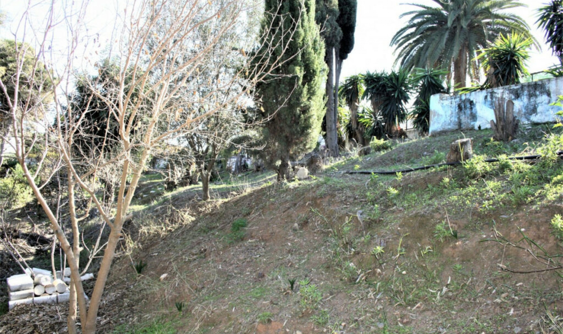 Resale - House -
Benajarafe
