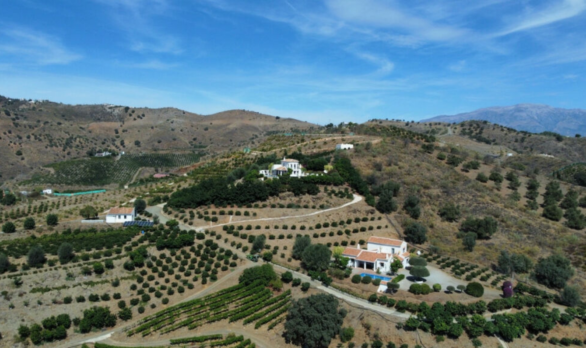 Resale - House -
Benajarafe
