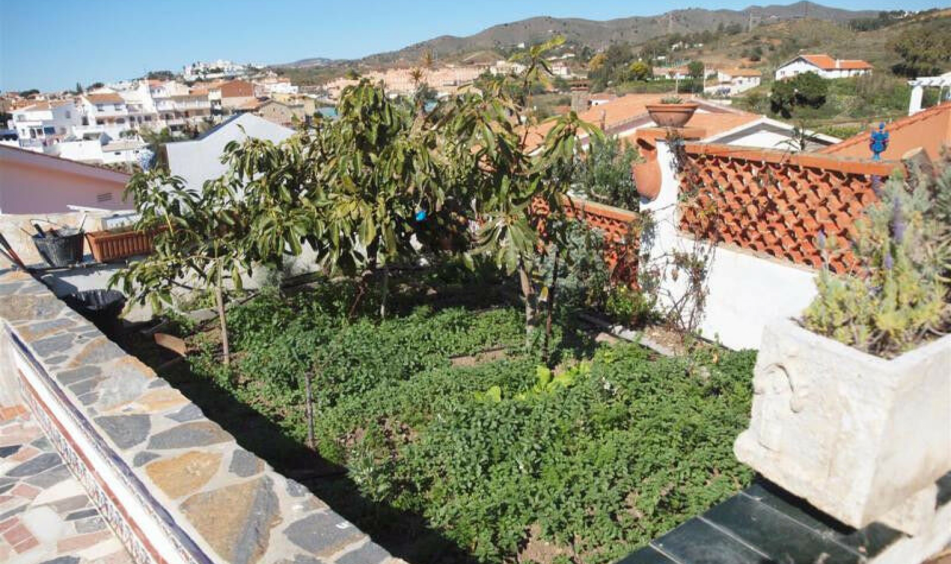 Resale - House -
Benajarafe