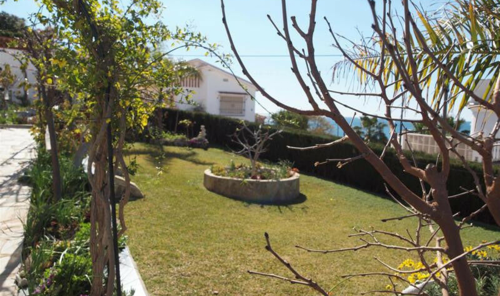 Resale - House -
Benajarafe