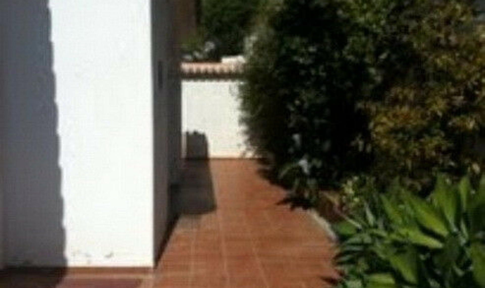 Resale - House -
Benajarafe