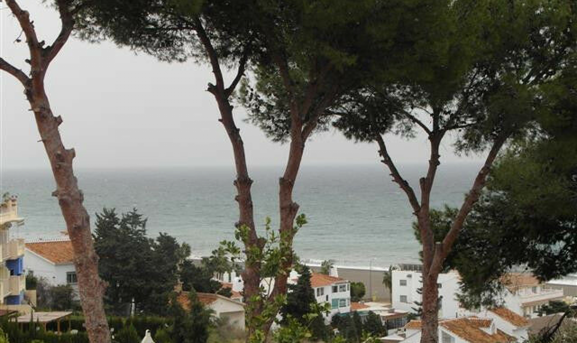Resale - House -
Benajarafe