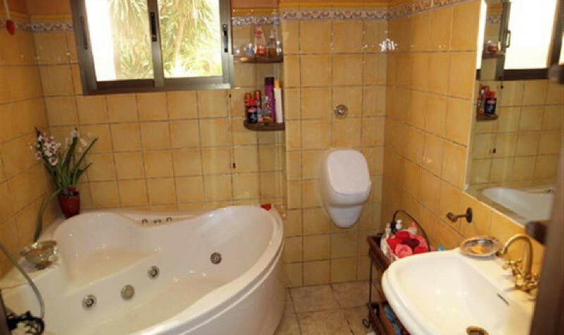 Resale - House -
Benajarafe