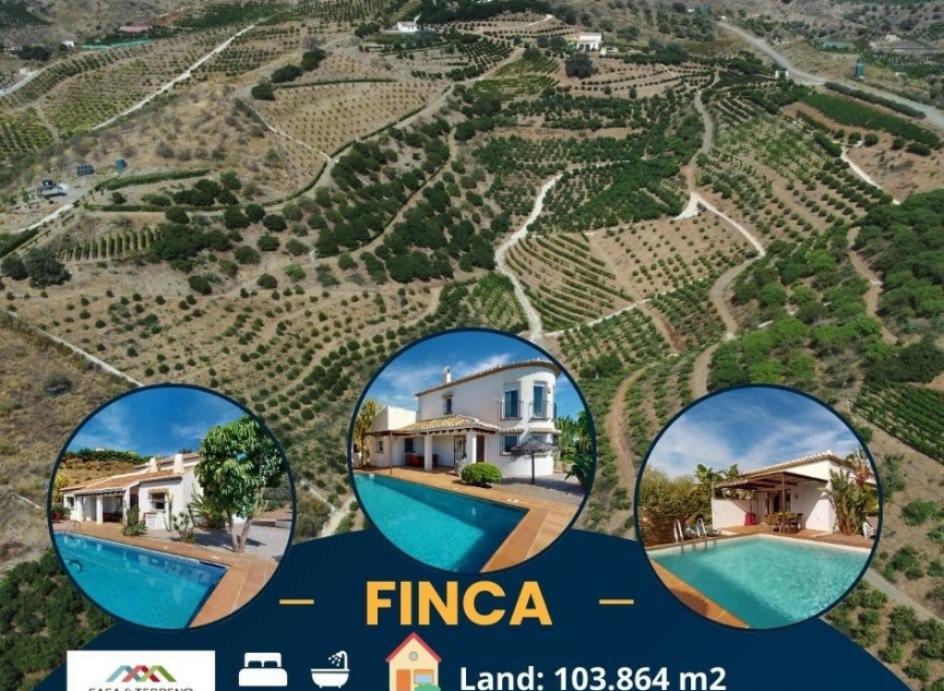 Resale - House -
Benajarafe