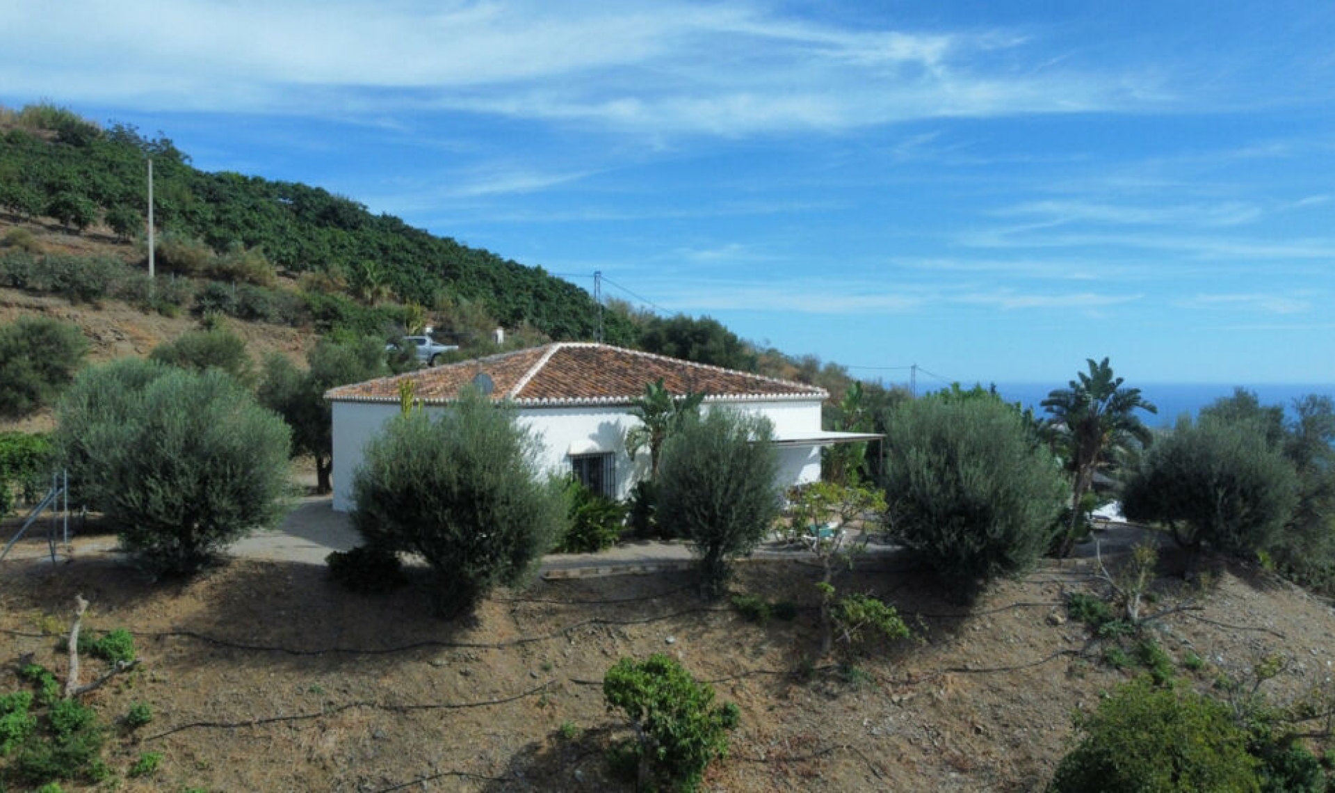 Resale - House -
Benajarafe
