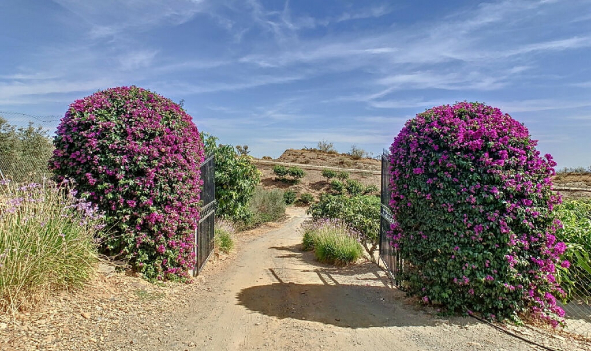 Resale - House -
Benajarafe